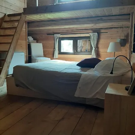 Guest house Chalet Danta